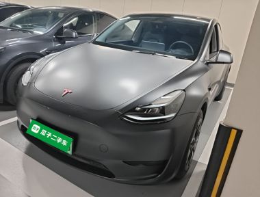 Tesla Model Y 2024 immagine di auto 