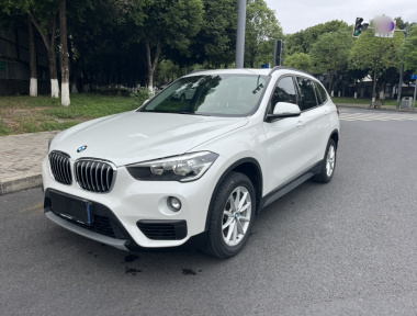 BMW X1 2019 immagine di auto 