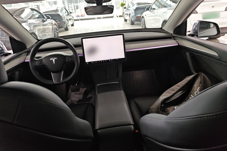 Tesla Model Y 2024 immagine di auto #10