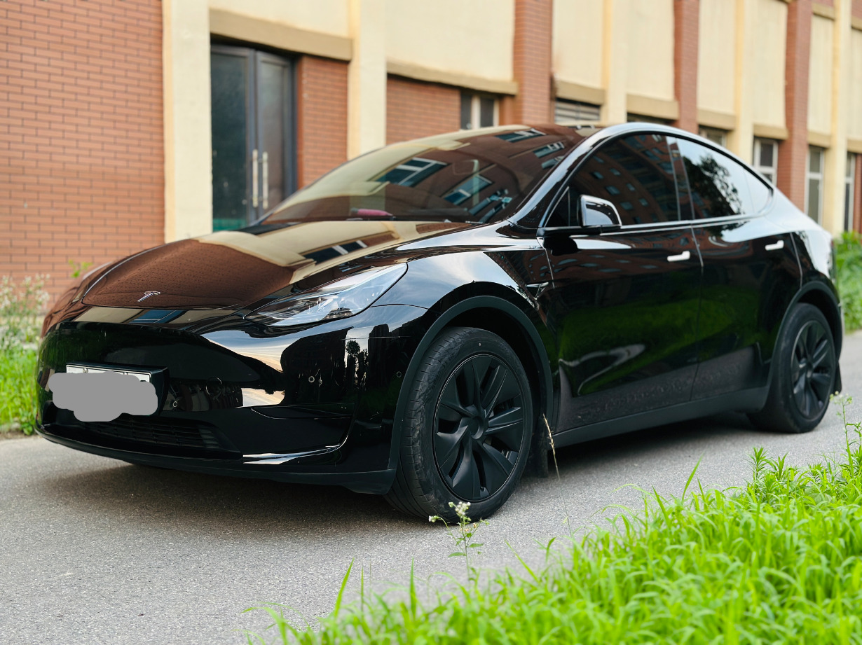 Tesla Model Y 2023 car image 