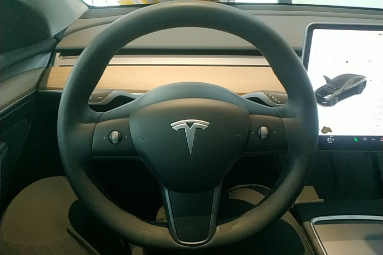 Tesla Model Y 2021 car image #11
