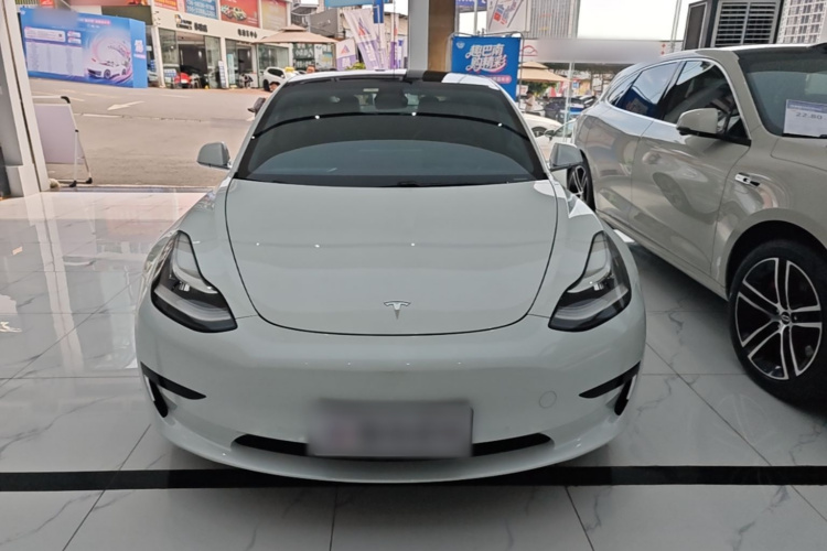 Tesla Model 3 2020 #3 Tesla Model 3 2020 car image #3