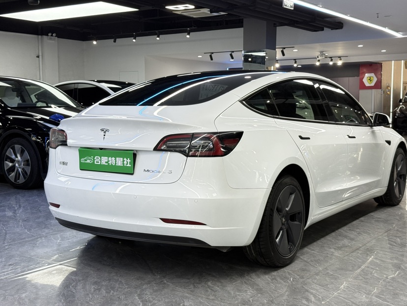Tesla Model 3 2022 #9 Tesla Model 3 2022 car image #9