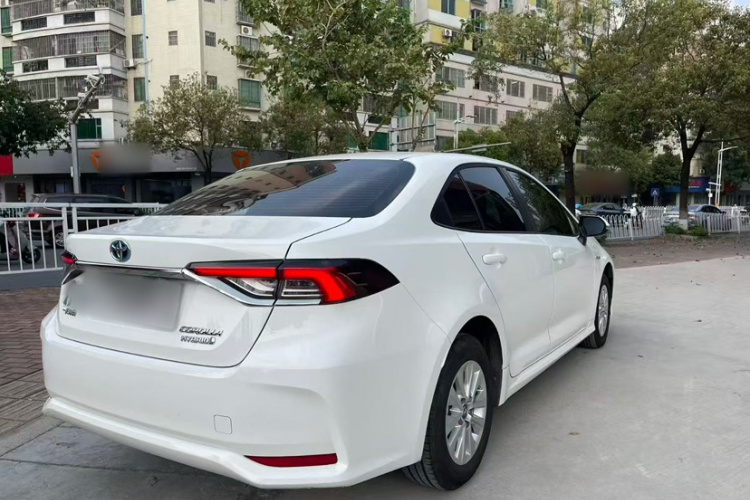 Toyota Corolla 2023 #10 Toyota Corolla 2023 car image #10
