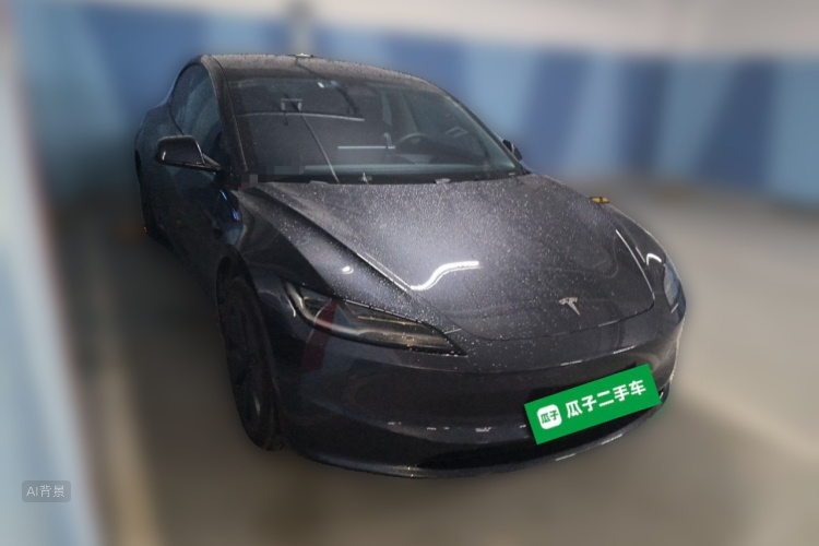 Tesla Model 3 2024 car image #4