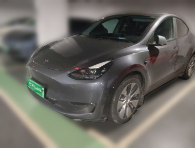 Tesla Model Y 2021 immagine di auto 