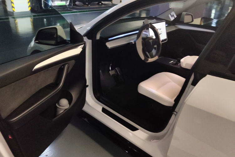 Tesla Model Y 2022 car image #9