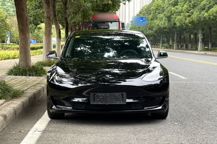 Tesla Model 3 2020 immagine di auto #5