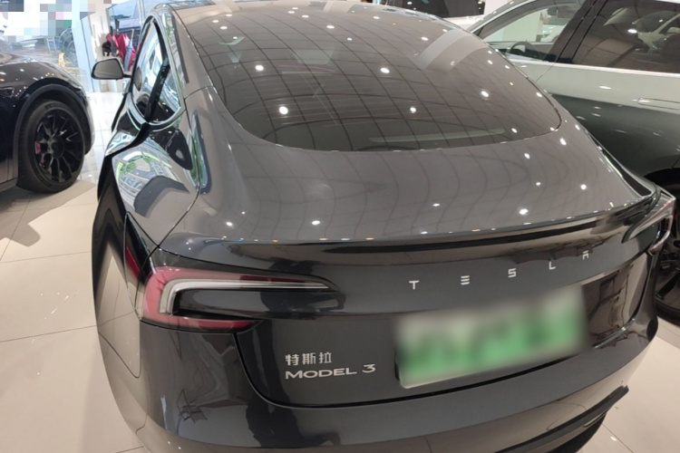 Tesla Model 3 2024 #6 Tesla Model 3 2024 car image #6