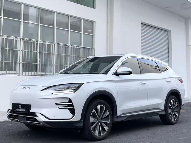BYD Song Plus New Energy 2024 car image #19