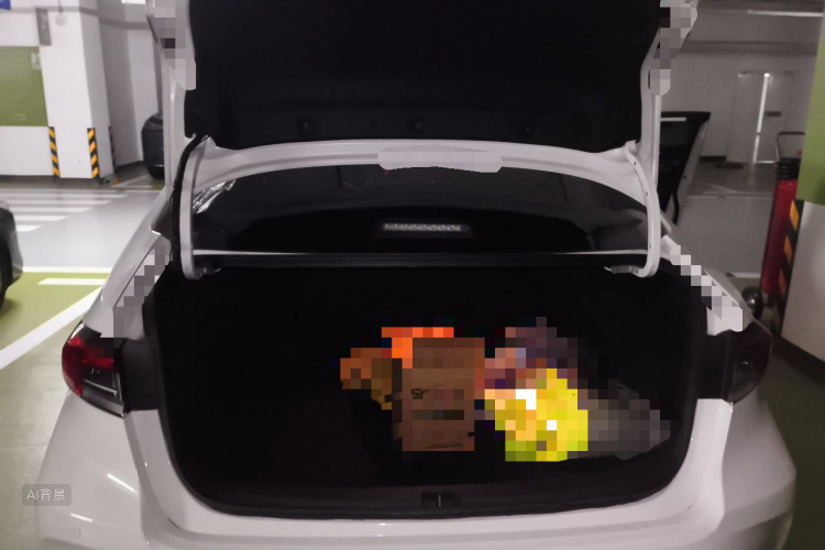 Toyota Corolla 2021 car image #21