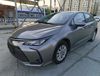 Toyota Corolla 2023 car image 