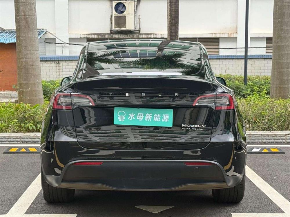 Tesla Model Y 2021 car image #6