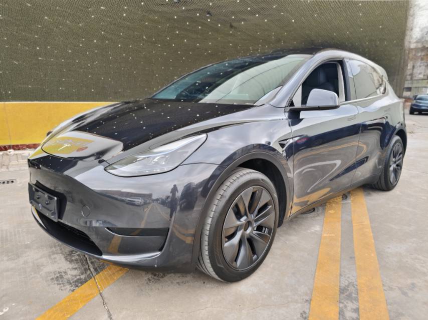 Tesla Model Y 2024 Tesla Model Y 2024 car image