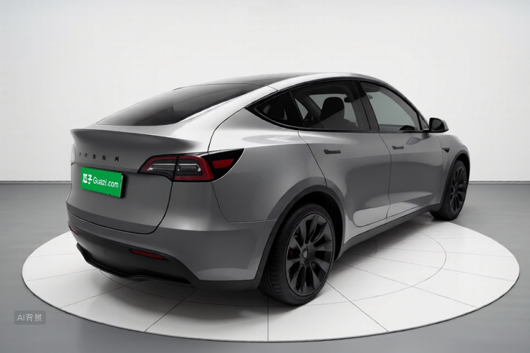 Tesla Model Y 2021 car image #7