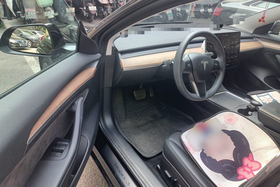 Tesla Model 3 2022 #25 Tesla Model 3 2022 car image #25
