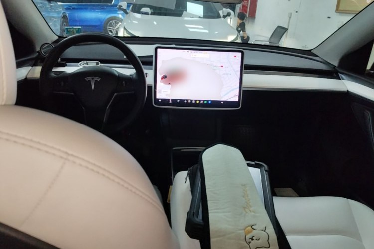 Tesla Model Y 2021 car image #10