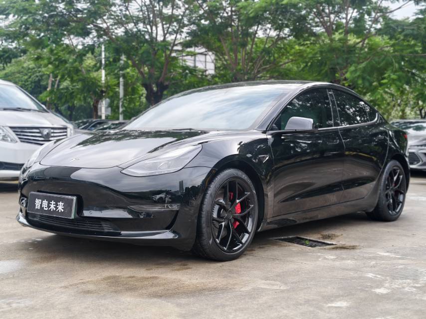 Tesla Model 3 2021 Tesla Model 3 2021 car image