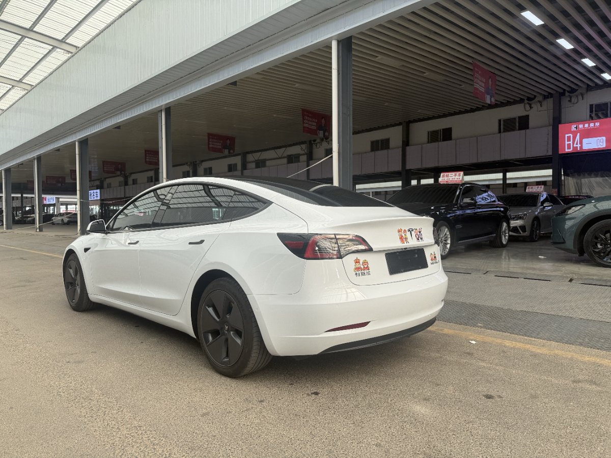 Tesla Model 3 2021 #10 Tesla Model 3 2021 car image #10