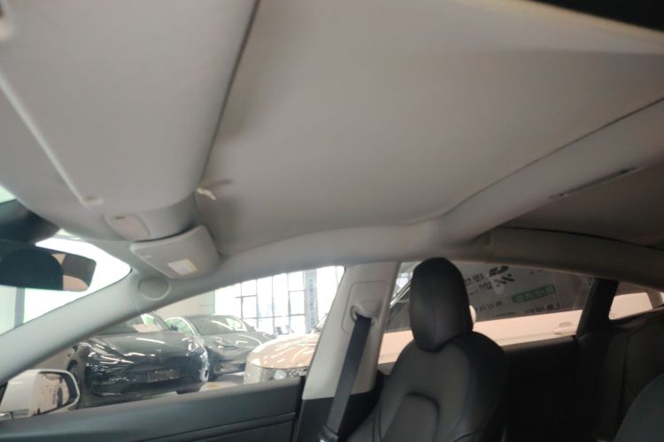 Tesla Model 3 2020 car image #18