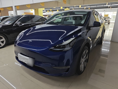 Tesla Model Y 2021 Tesla Model Y 2021 car image