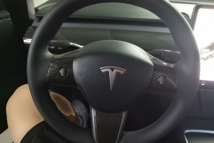 Tesla Model 3 2021 #15 Tesla Model 3 2021 car image #15