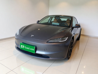 Tesla Model 3 2024 car image 