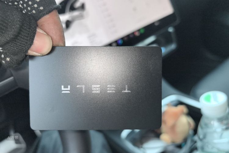 Tesla Model 3 2023 car image #10