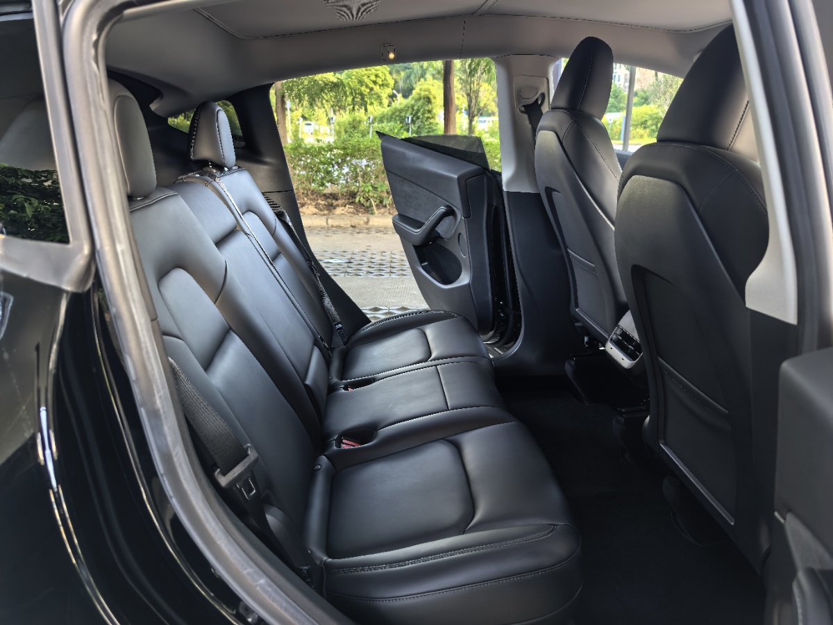 Tesla Model Y 2023 car image #9