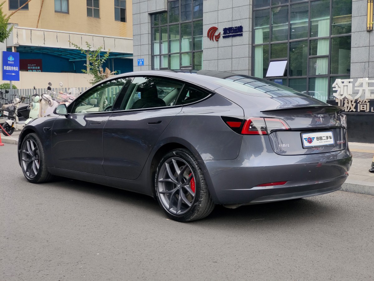 Tesla Model 3 2021 #3 Tesla Model 3 2021 car image #3