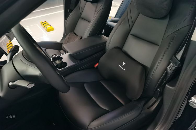 Tesla Model 3 2021 car image #17
