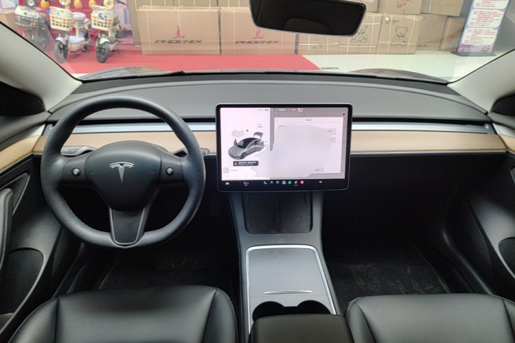 Tesla Model 3 2021 car image #10