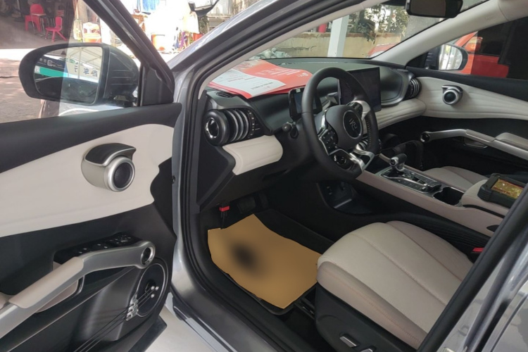 BYD Yuan Plus 2023 car image #16
