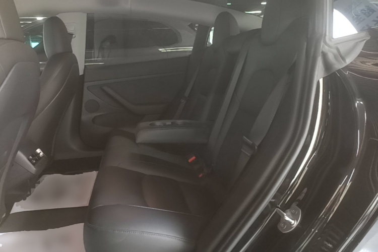 Tesla Model 3 2021 #13 Tesla Model 3 2021 car image #13