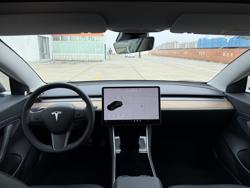 Tesla Model 3 2020 car image #6