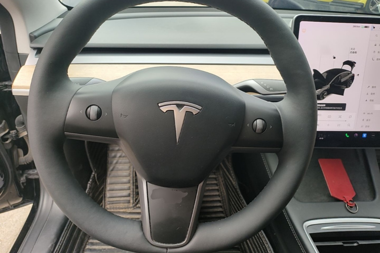 Tesla Model 3 2021 #11 Tesla Model 3 2021 car image #11