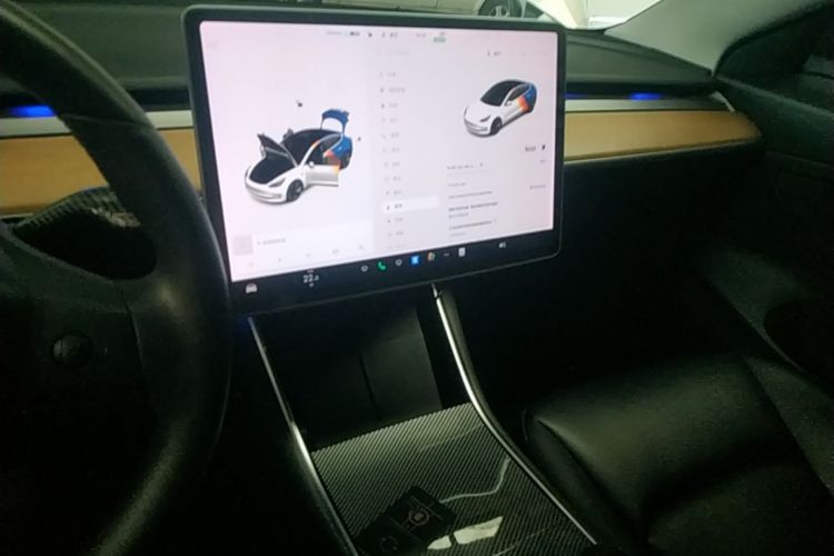 Tesla Model 3 2020 car image #13