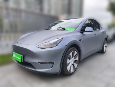 Tesla Model Y 2021 car image 
