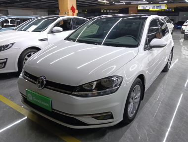 Volkswagen Golf 2019 car image 