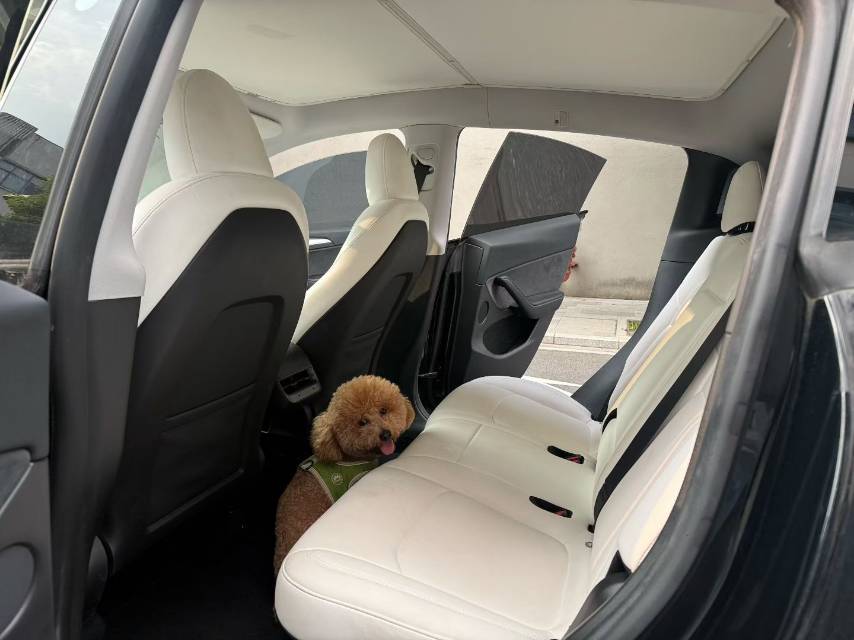 Tesla Model Y 2023 car image #8