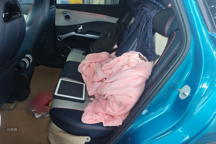 BYD Yuan Plus 2022 car image #19