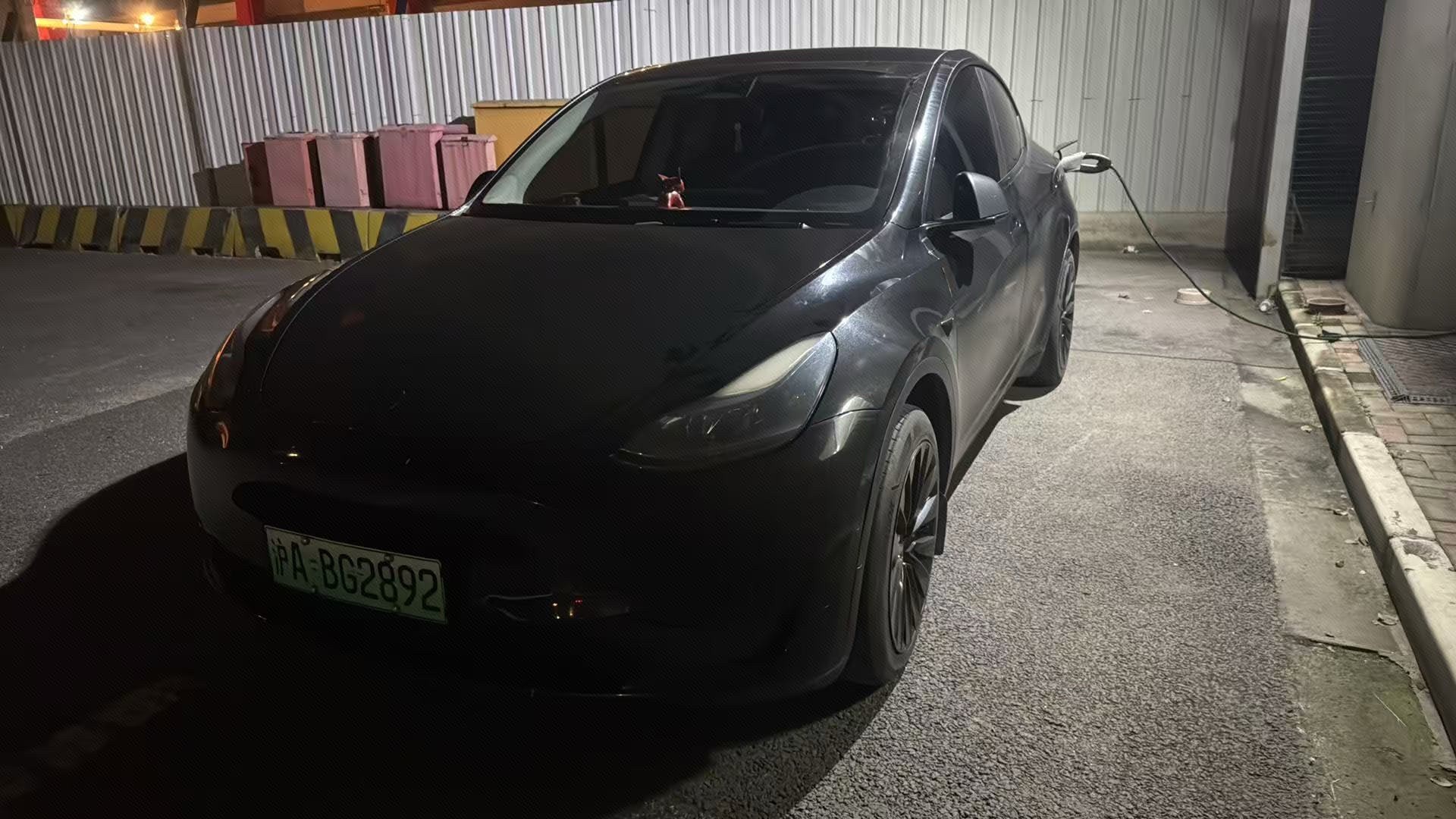 Tesla Model Y 2023 Tesla Model Y 2023 car image