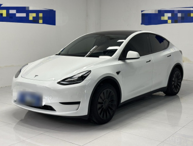 Tesla Model Y 2023 Tesla Model Y 2023 car image