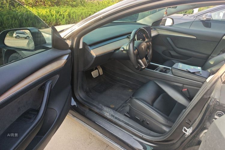 Tesla Model 3 2022 car image #18