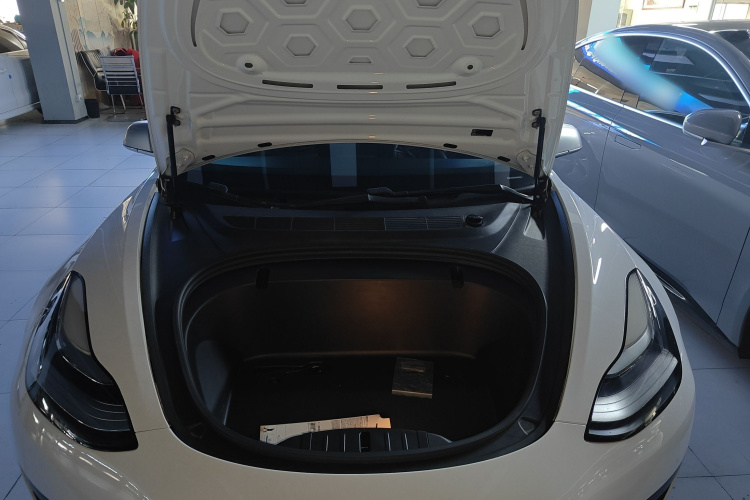 Tesla Model 3 2020 car image #20