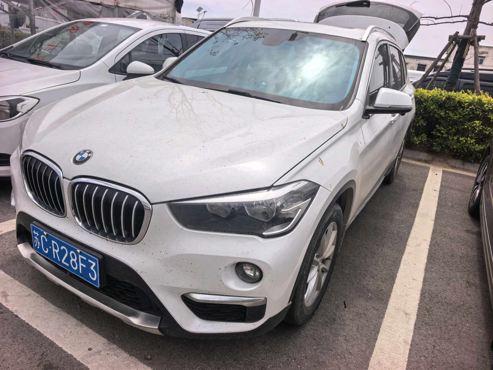 2019 immagine di auto 