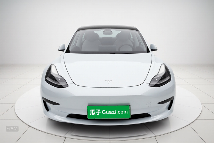Tesla Model 3 2021 #3 Tesla Model 3 2021 car image #3