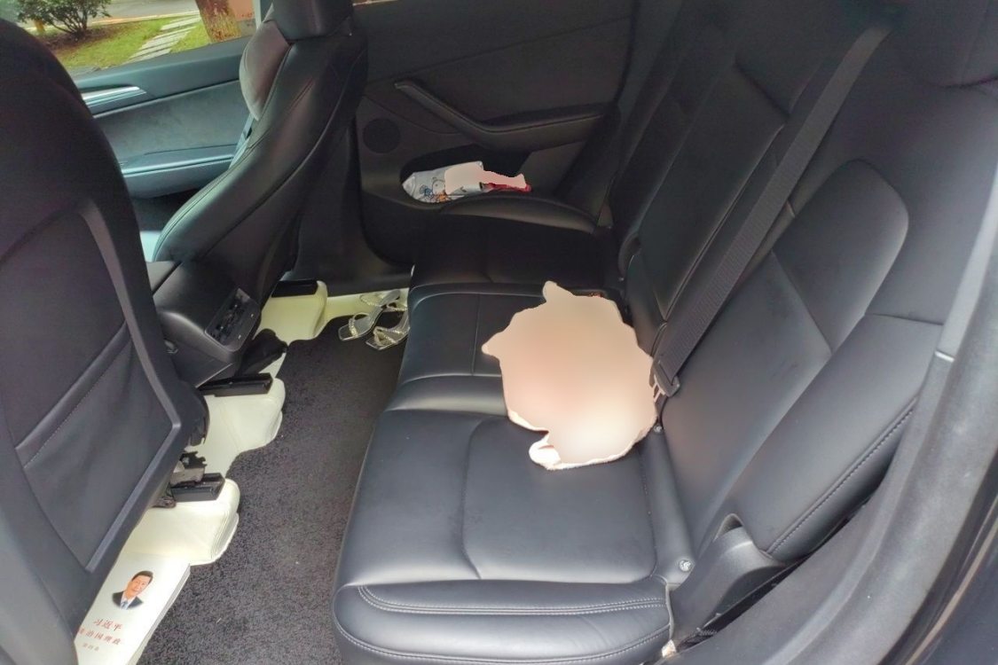 Tesla Model Y 2024 car image #19