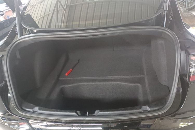 Tesla Model 3 2021 car image #21