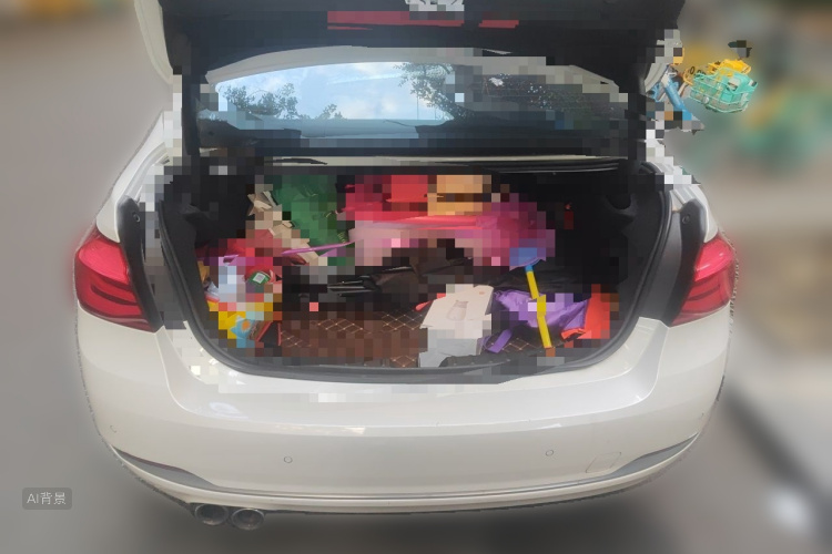BMW 3 Series 2018 car image #21